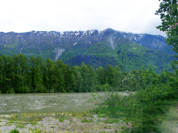  the Chilkat River in Haines Alaska